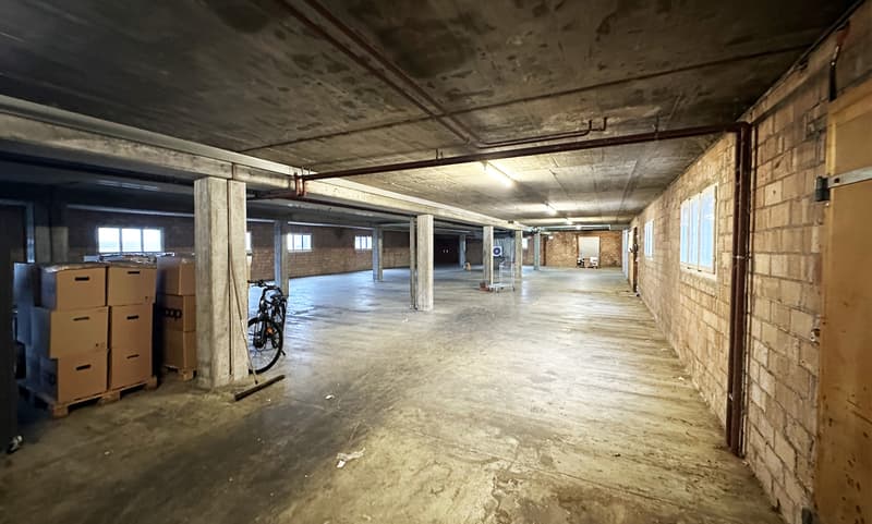 Magazzino/Fabbrica per uso temporaneo (3)