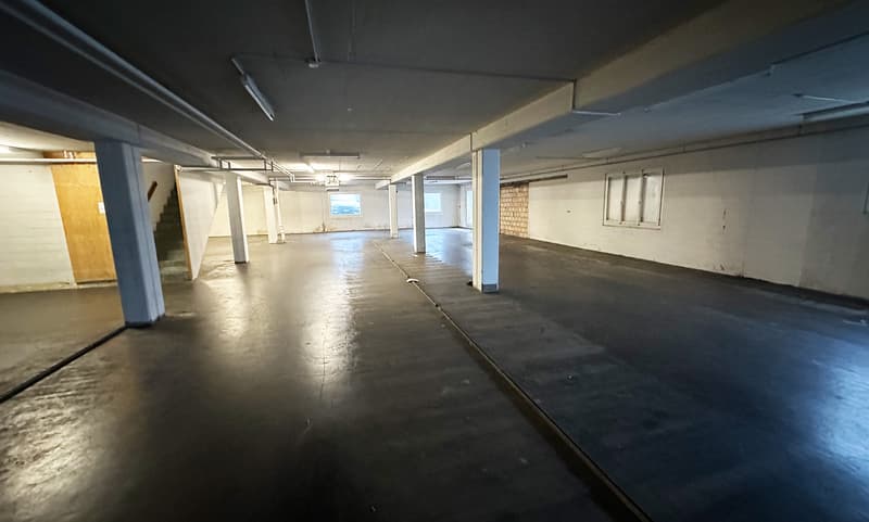 Magazzino/Fabbrica per uso temporaneo (2)