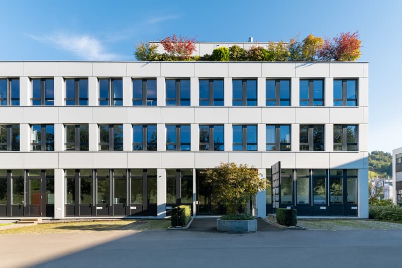 Blegistrasse 9, Baar - Funktionale Lagerfläche mit Tageslicht an optimaler Verkehrslage (1)