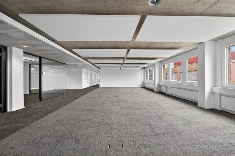 Moderne Arbeitsfläche mit Akustikelementen