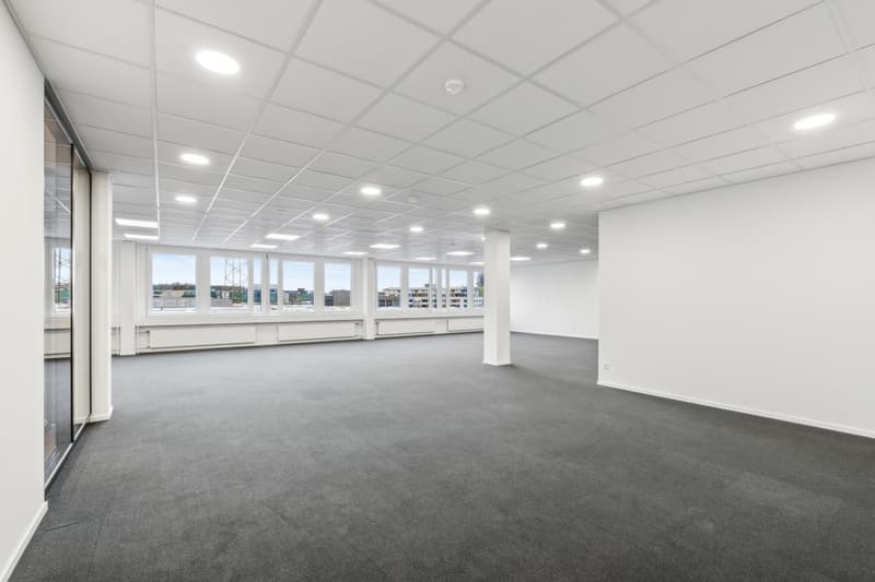 Open-Space Büro / Eingangsbereich