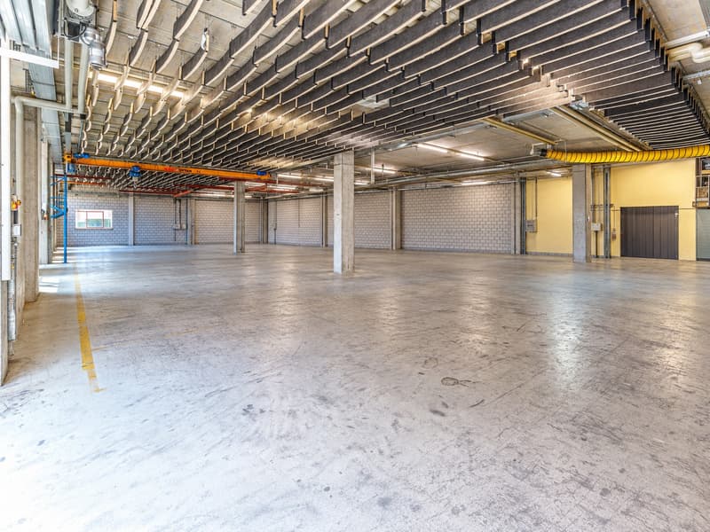 Lyssachstrasse 107/109, 3400 Burgdorf - Temporäre Lagerflächen bis Sommer 2029 (2)
