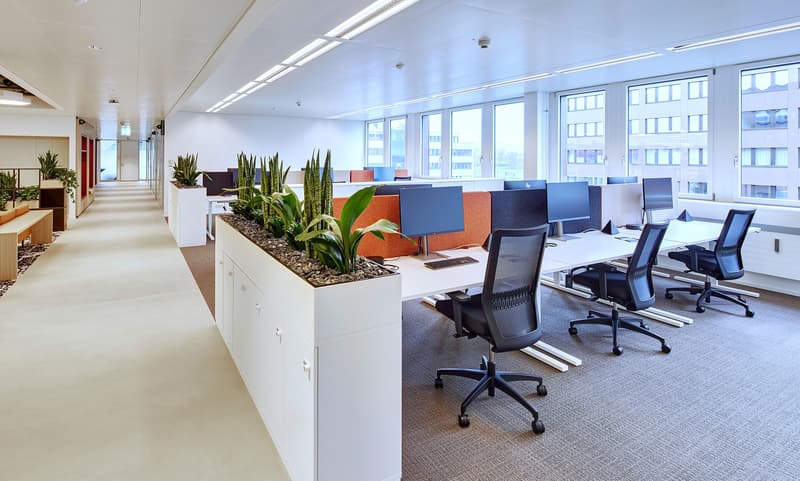 12 Co-Working Arbeitsplätze - tageweise buchbar