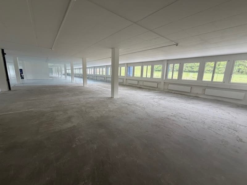 Chemin de la Combeta 3-5 - Beautiful representative building for offices, craftsmanship, light industry (4)