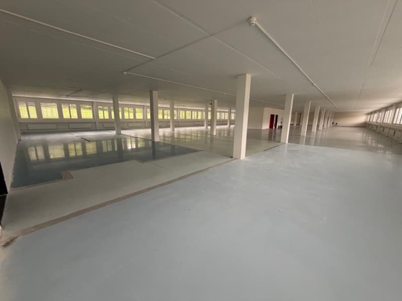 Chemin de la Combeta 3-5 - Beautiful representative building for offices, craftsmanship, light industry (2)