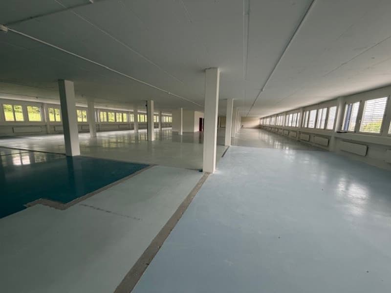 Chemin de la Combeta 3-5 - Beautiful representative building for offices, craftsmanship, light industry (6)