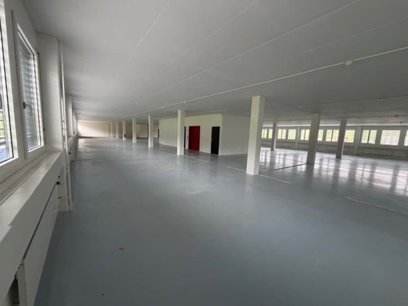 Chemin de la Combeta 3-5 - Beautiful representative building for offices, craftsmanship, light industry (5)