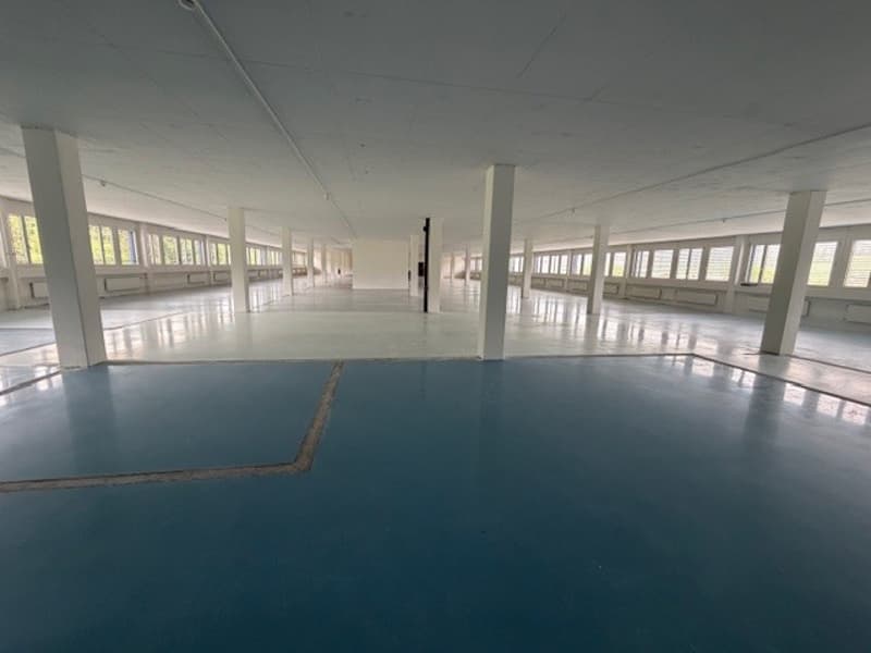 Chemin de la Combeta 3-5 - Beautiful representative building for offices, craftsmanship, light industry (3)