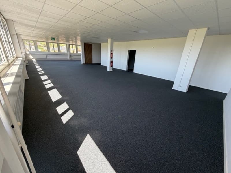 Superficie ideale per uffici - Bello edificio rappresentativo per uffici, artigianato, industria leggera (3)