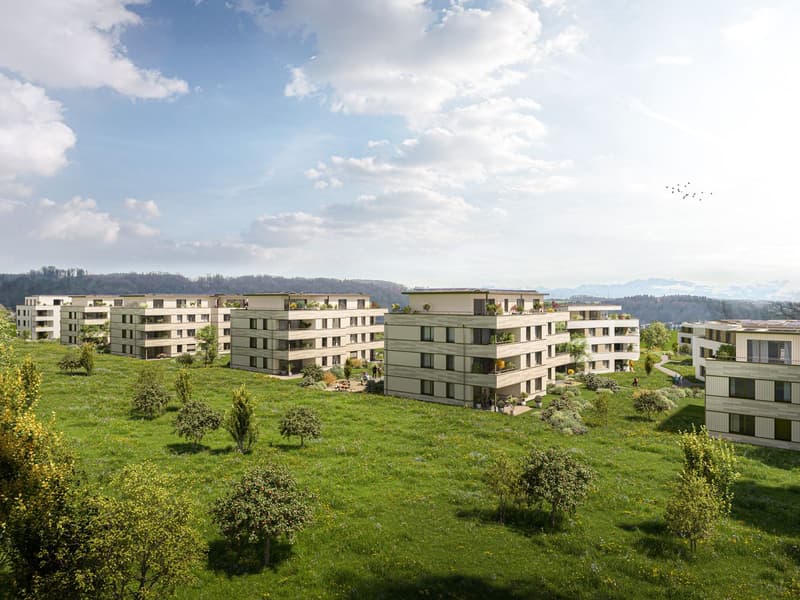 Projet de construction neuve "Coll d'Or" - visite de la construction possible (7)