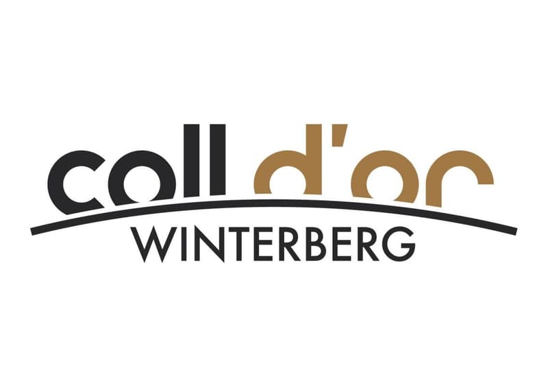 Projet de construction neuve "Coll d'Or" - visite de la construction possible (8)