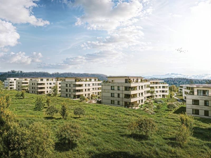 Projet de construction neuve "Coll d'Or" - visite de la construction possible (7)