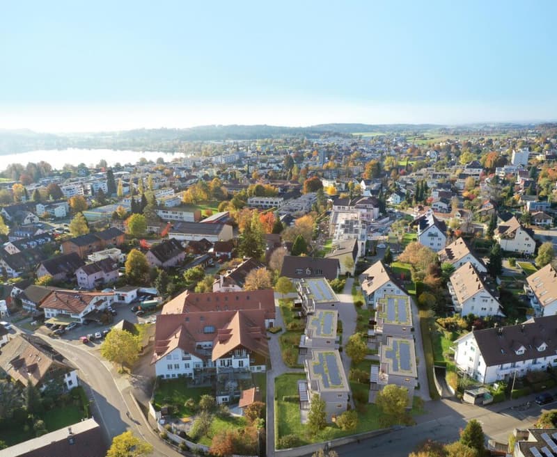Projet de construction neuve DODICI (2)
