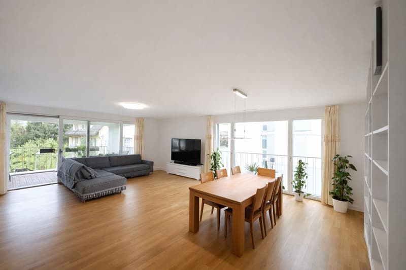Urban ownership standard (4)
