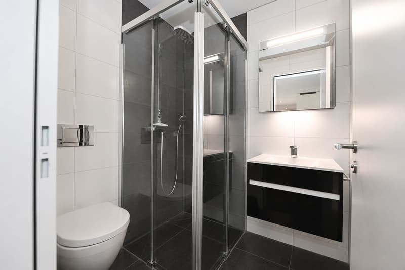Exclusive 3.5-room apartment on ownership standard in Zurich-Schwamendingen (5)