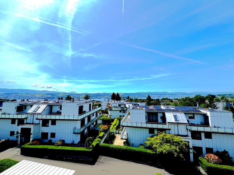 Panorama pur : attique élégante avec vue sur le lac et les montagnes (1)