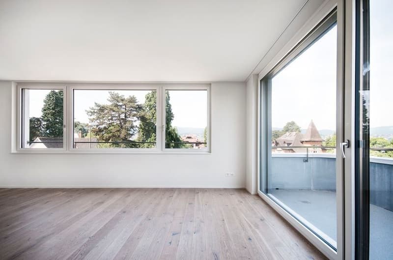 Grosszügige 3½-Zimmer-Maisonette mit Terrasse und Seesicht (1)