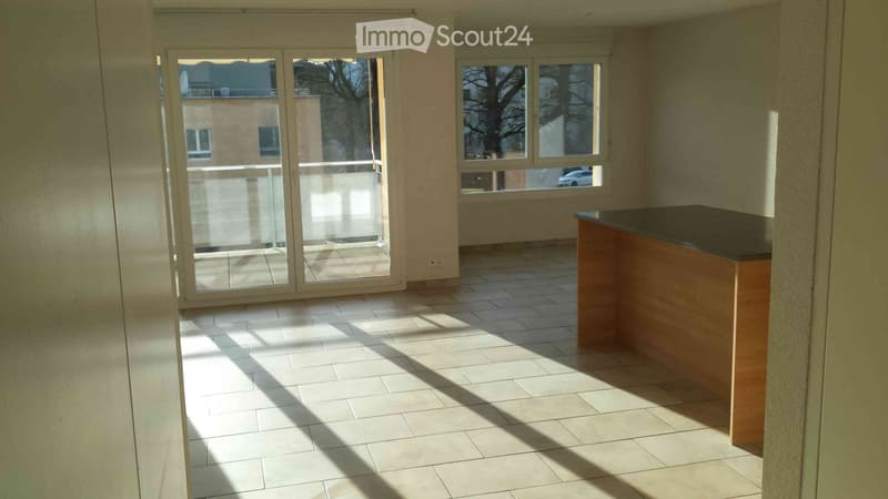 Magnifique appartement idéalement situé (4)