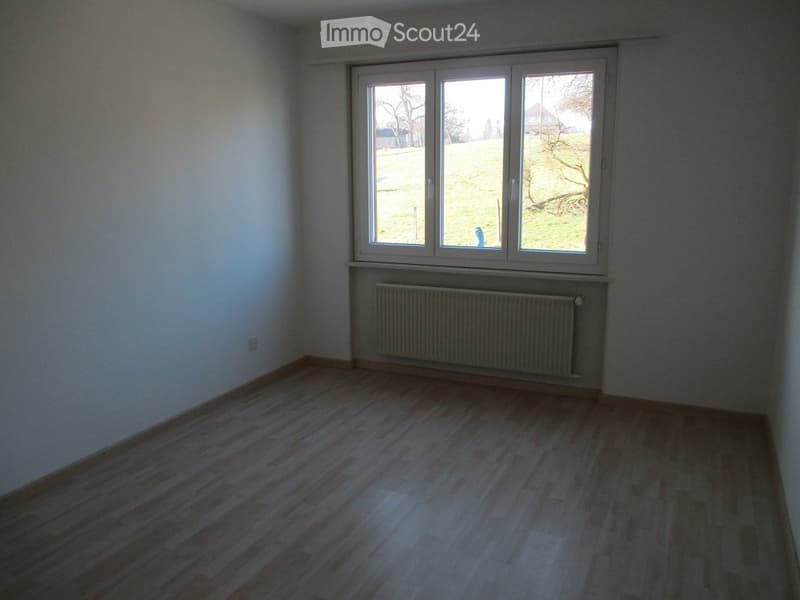 3-room apartment on the ground floor with equipped kitchen (5)