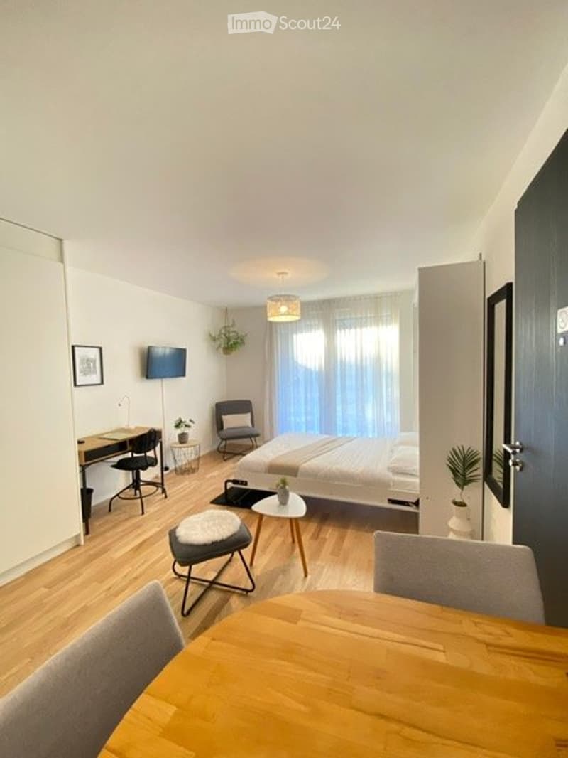 Stupendo studio arredato (2)
