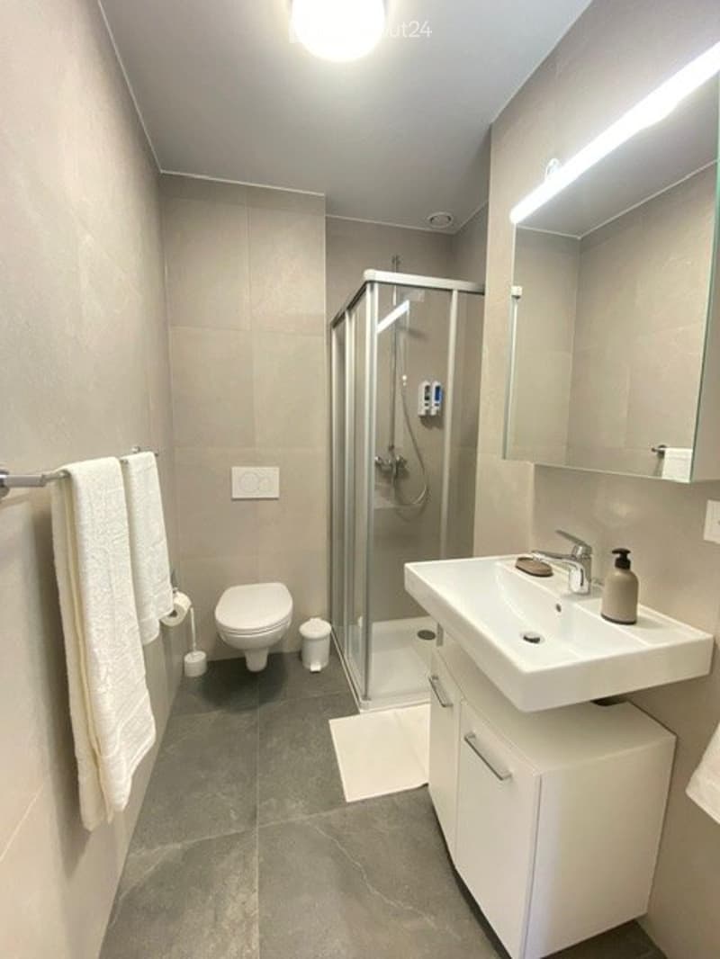 Stupendo studio arredato (4)