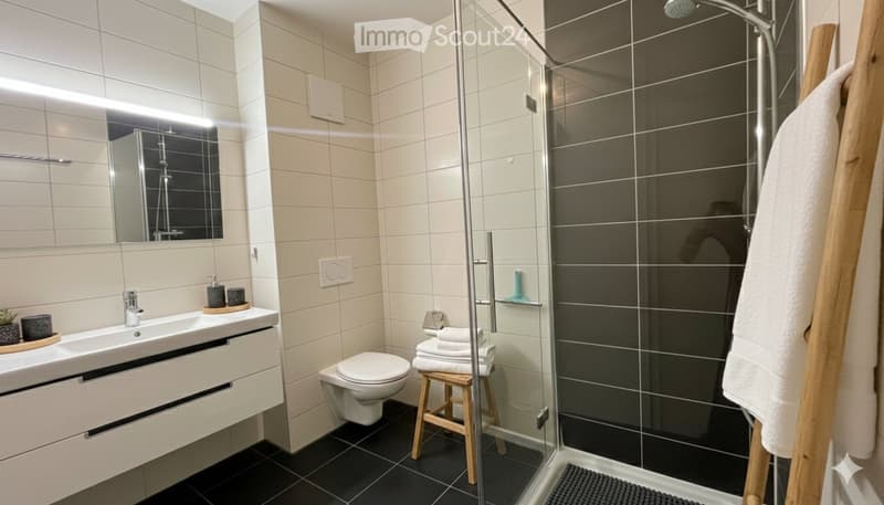 Meraviglioso appartamento attico di 4,5 locali con vista panoramica (3)