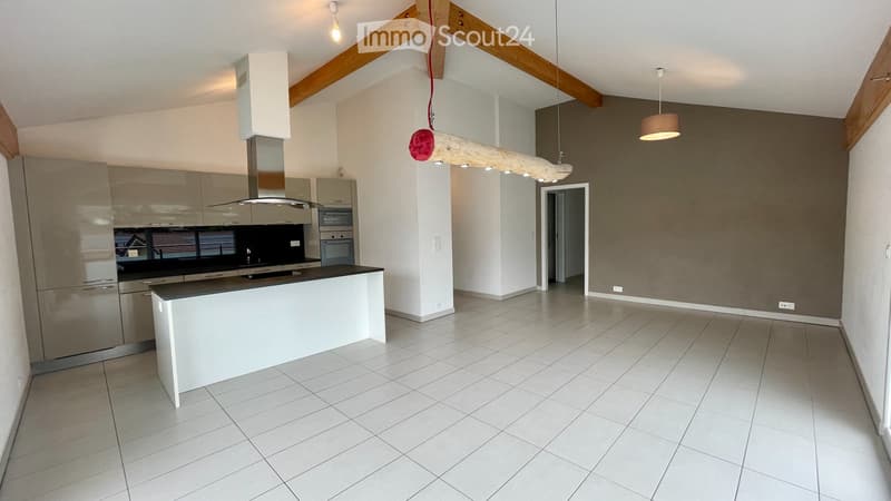 Meraviglioso appartamento attico di 4,5 locali con vista panoramica (5)