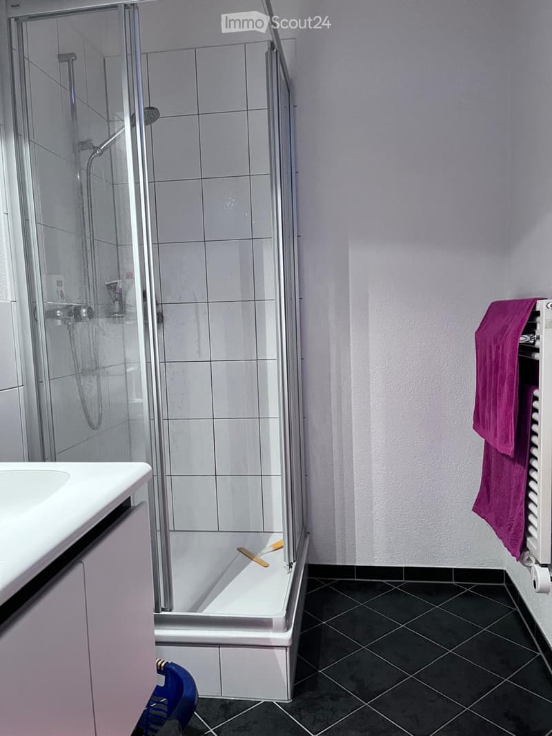 Studio meublé (3)