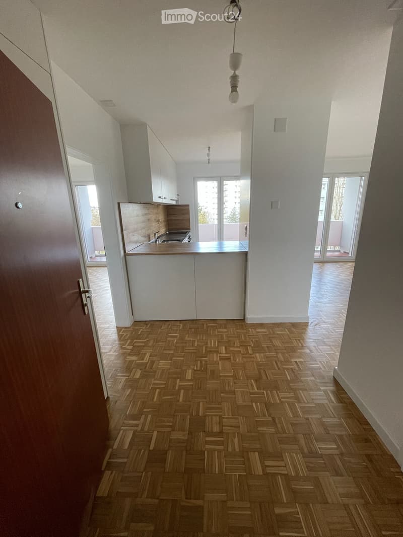 Fully renovated 2.5-room apartment, comfortably. (3)