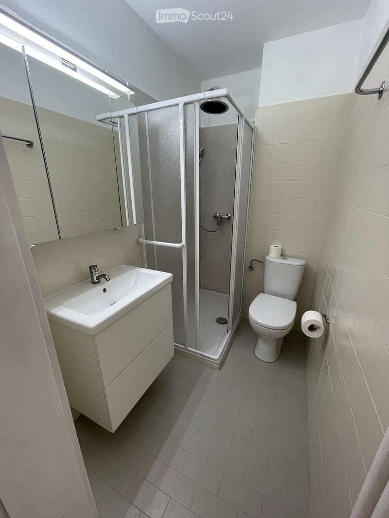 Fully renovated 2.5-room apartment, comfortably. (4)