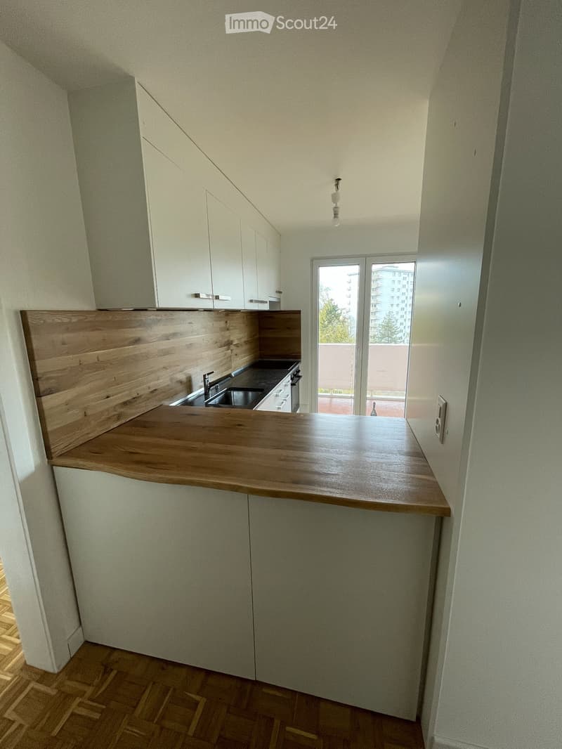 Fully renovated 2.5-room apartment, comfortably. (2)