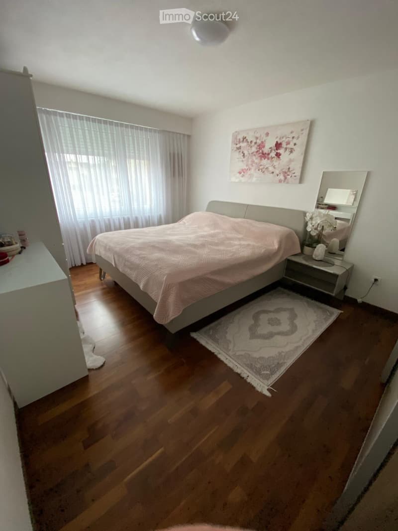 Appartamento moderno di 4,5 locali (4)