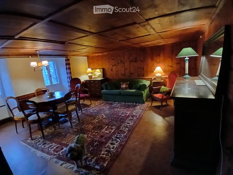 Adorable and authentic 2,5 room apartment, completely renovated in 2025 (1)
