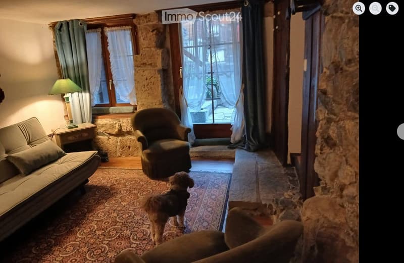 Adorable and authentic 2,5 room apartment, completely renovated in 2025 (2)
