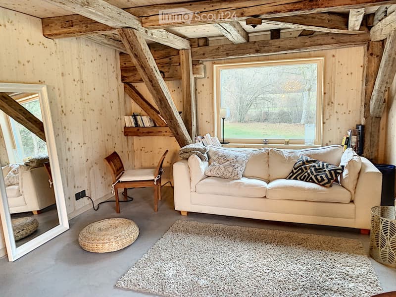 Spacious, bright and modern 3.5-room apartment (4)