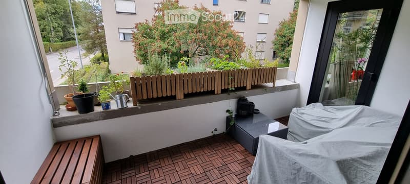 Appartamento in affitto - Rileva contratto di locazione (3)