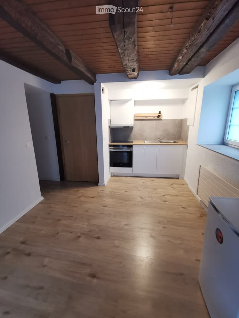 2 ½ room owner-occupied apartment on the ground floor (5)