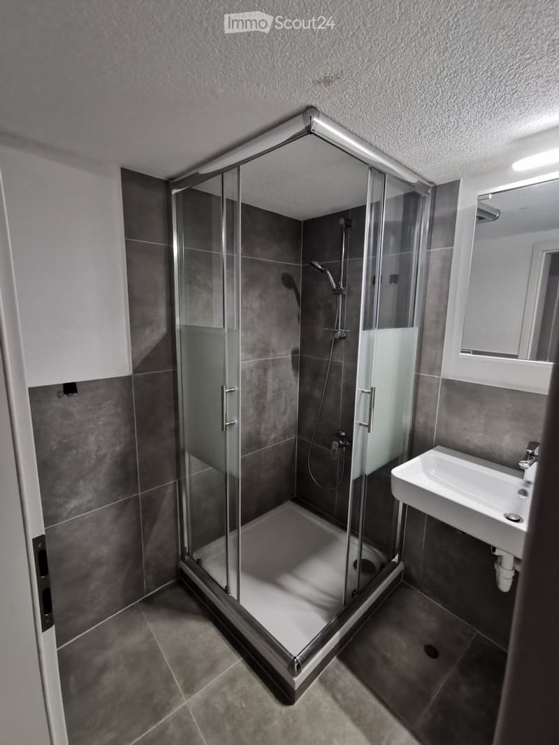 2 ½ room owner-occupied apartment on the ground floor (3)