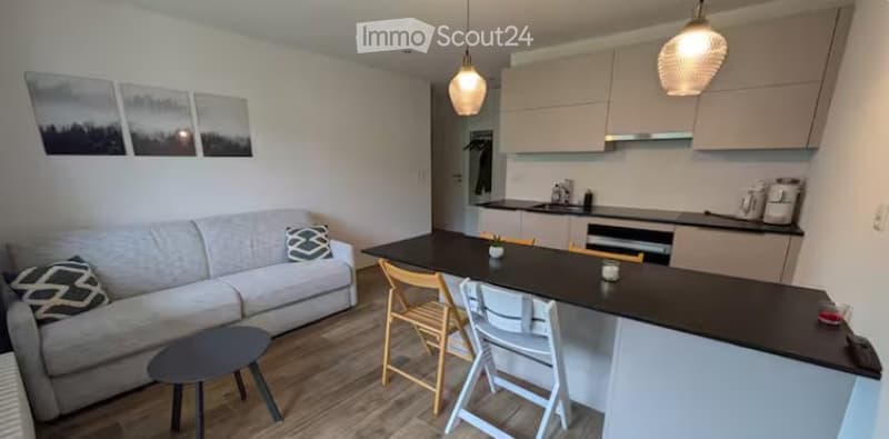 Affitto annuale appartamento 2.5 locali ristrutturato, centro di Morgins, garage (2)