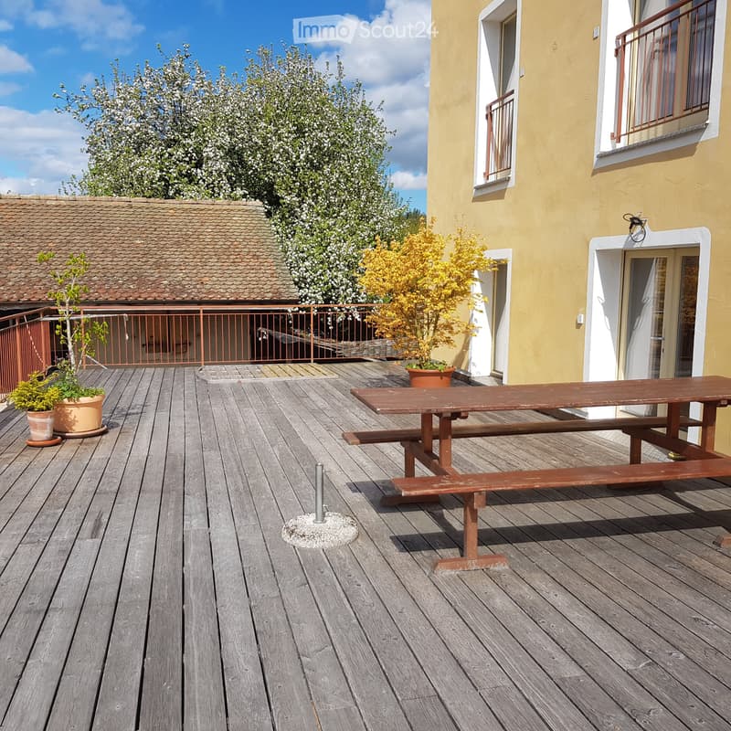 Appartamento 4 1/2 locali, grande terrazza in una cooperativa (2)
