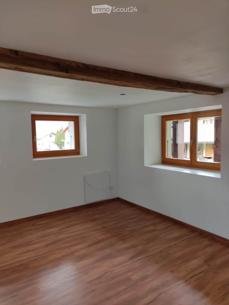 Appartement en PPE entièrement rénové  80 m² habitables (4)