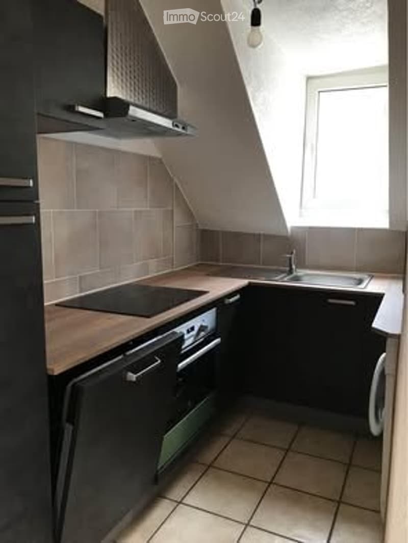 Bright apartment for rent (3)