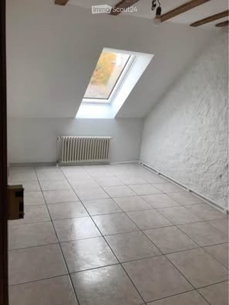 Bright apartment for rent (2)