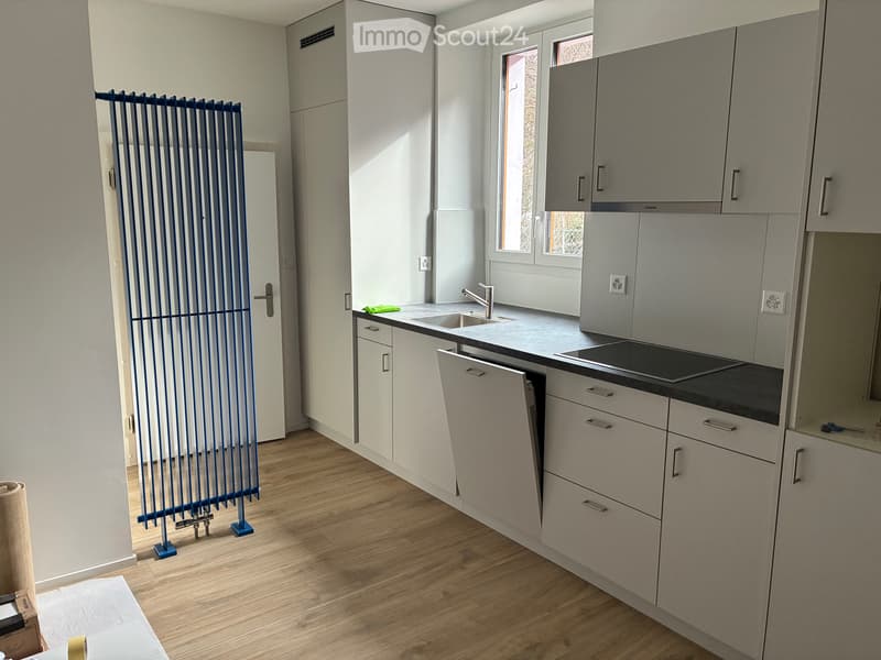 Beautiful through apartment in Monthey (2)