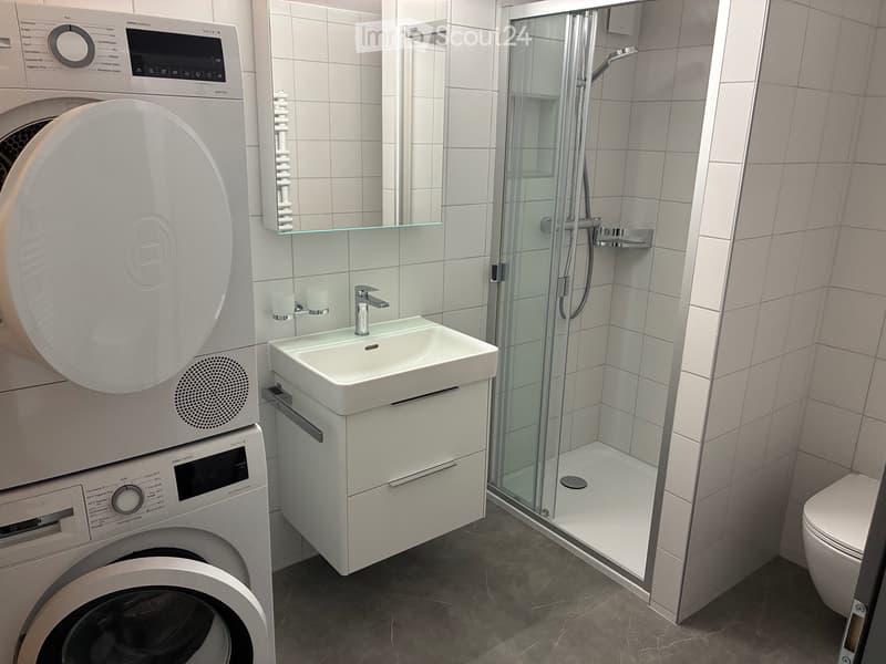 Beautiful through apartment in Monthey (4)