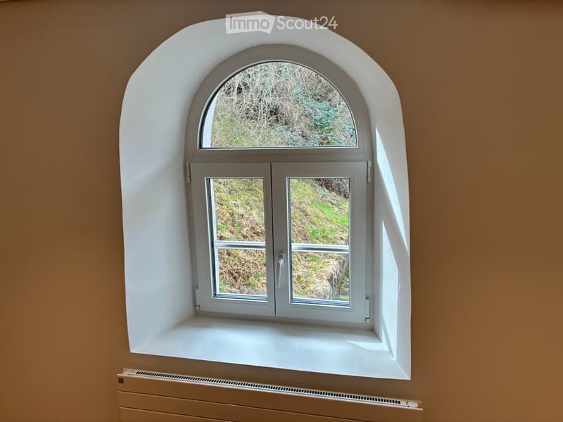Beautiful through apartment in Monthey (5)