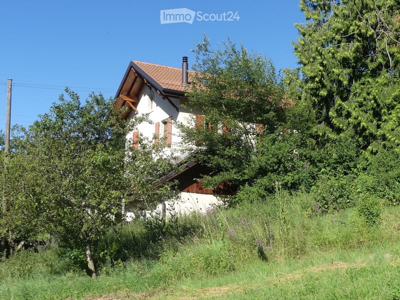 The small room in the meadow (5)