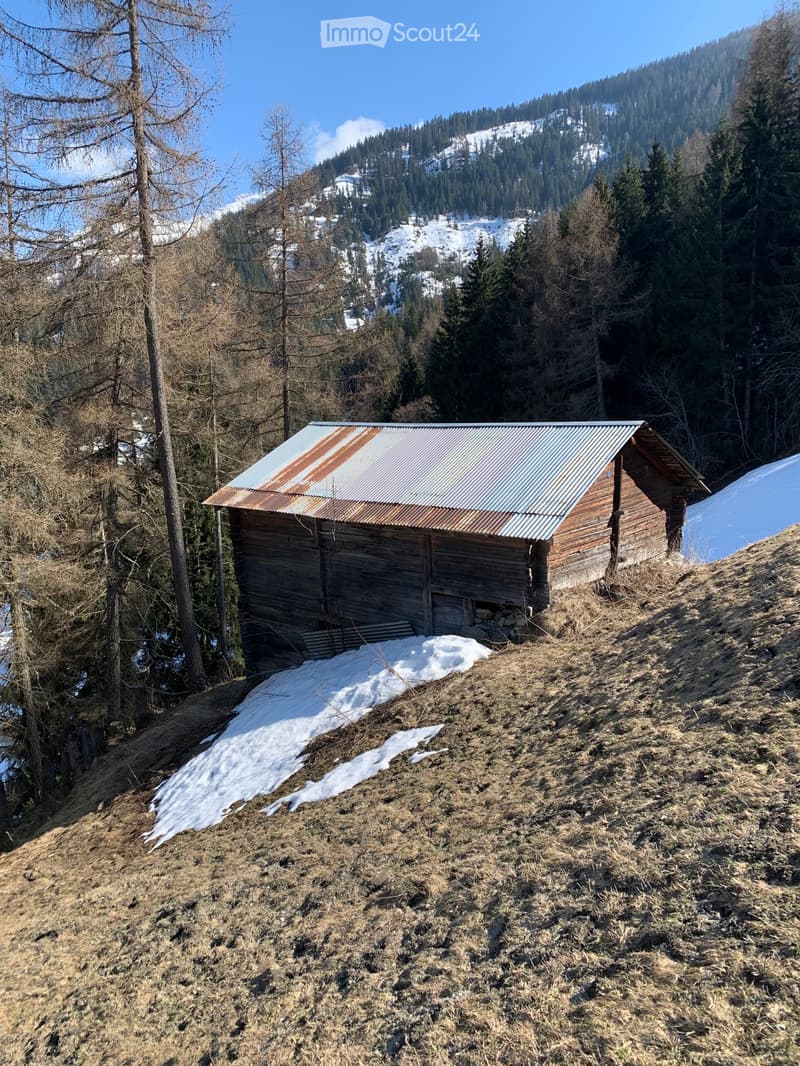 Barn for sale (3)