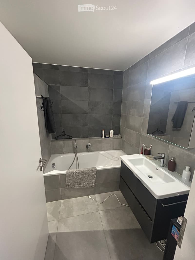 4.5 rooms renovated (4)