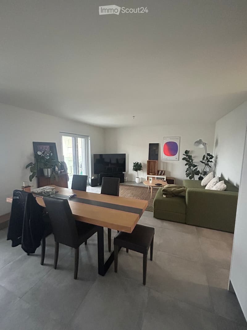 4.5 rooms renovated (2)